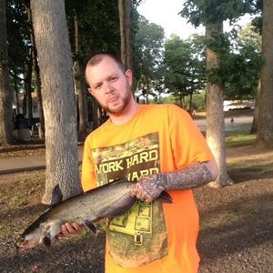 Meet your Posher, T.j.